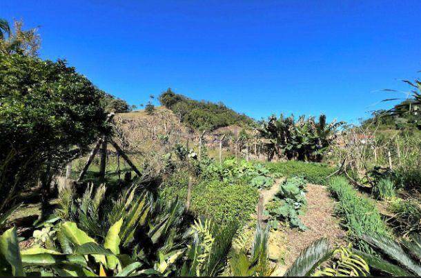 Sítio, 5 quartos - Foto 7