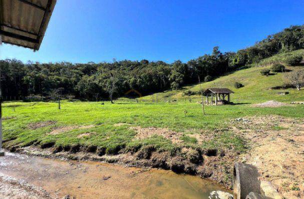 Sítio, 5 quartos - Foto 4