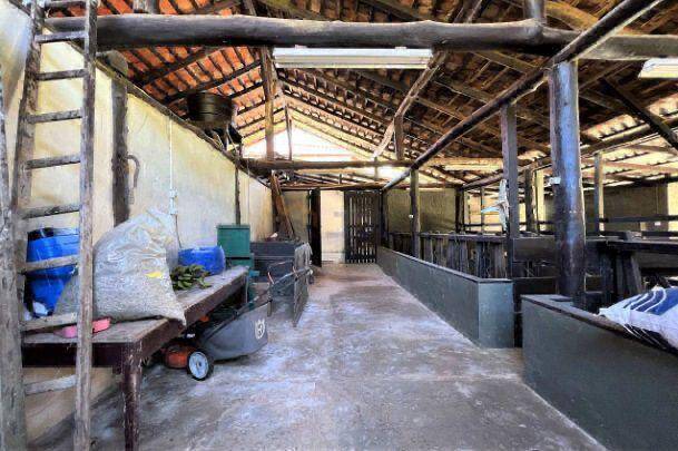 Sítio, 5 quartos - Foto 9