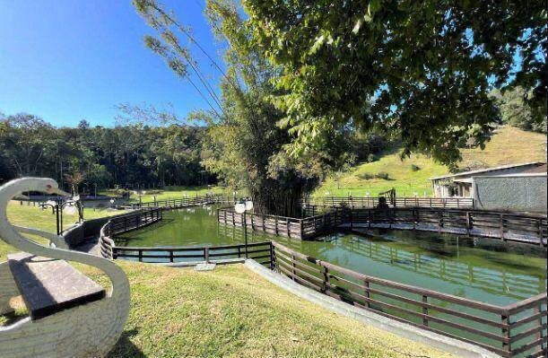 Sítio, 5 quartos - Foto 13