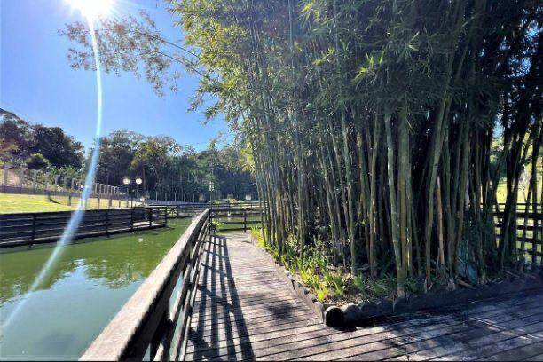 Sítio, 5 quartos - Foto 17