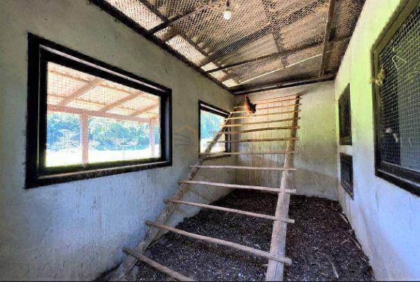 Sítio, 5 quartos - Foto 15