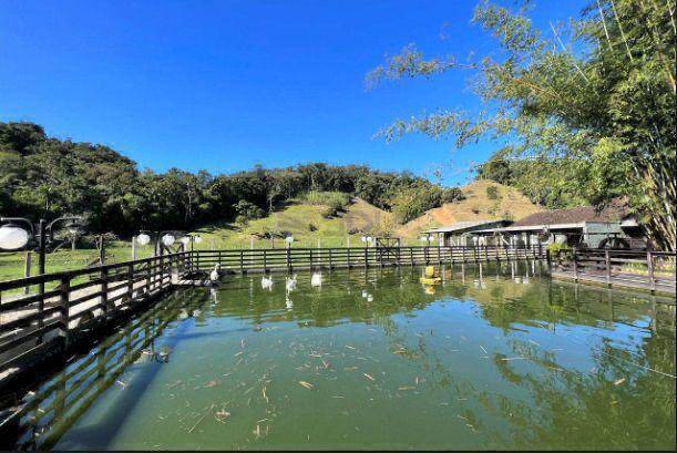 Sítio, 5 quartos - Foto 29