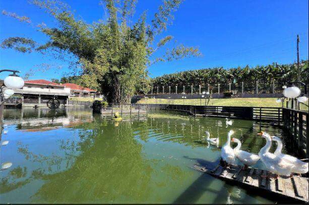 Sítio, 5 quartos - Foto 28