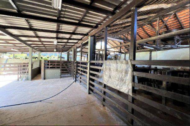 Sítio, 5 quartos - Foto 33