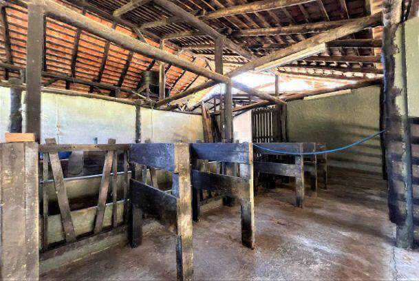 Sítio, 5 quartos - Foto 43